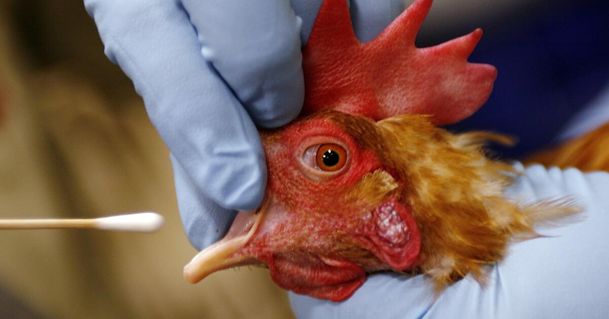 Woman hospitalized in Wyoming with H5N1 bird flu