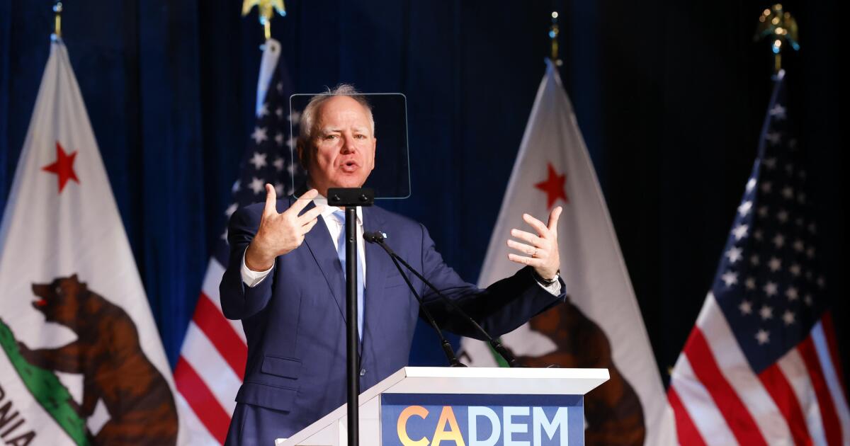 Chabria: Democrats are busy bashing themselves. Is it needed, or just needy?