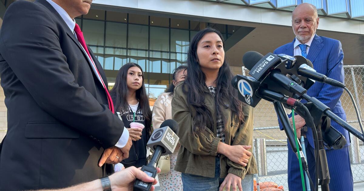 Chabria: Homeland Security says it doesn’t detain citizens. These brave Californians prove it has