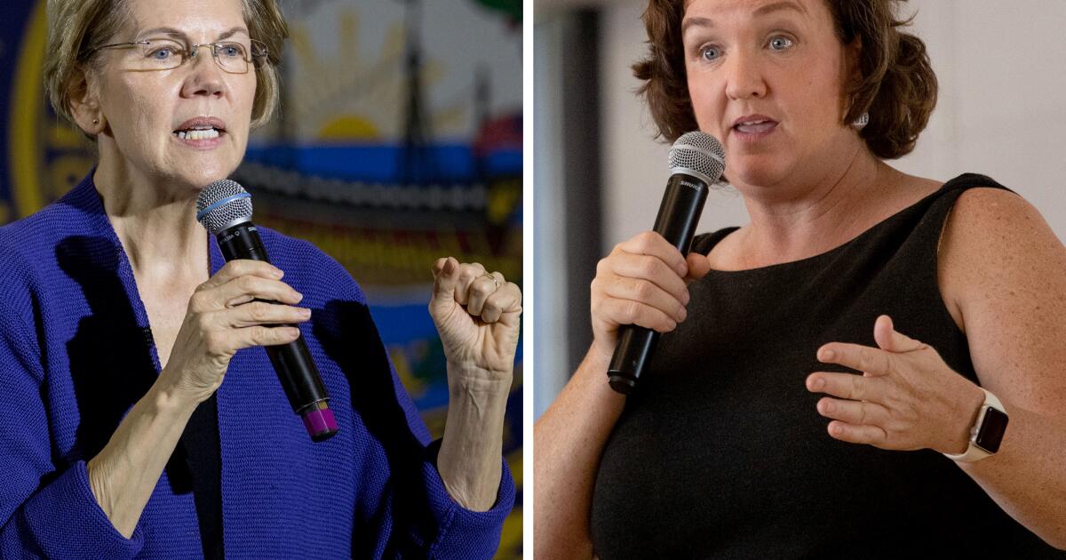 Sen. Elizabeth Warren endorses former Rep. Katie Porter for governor