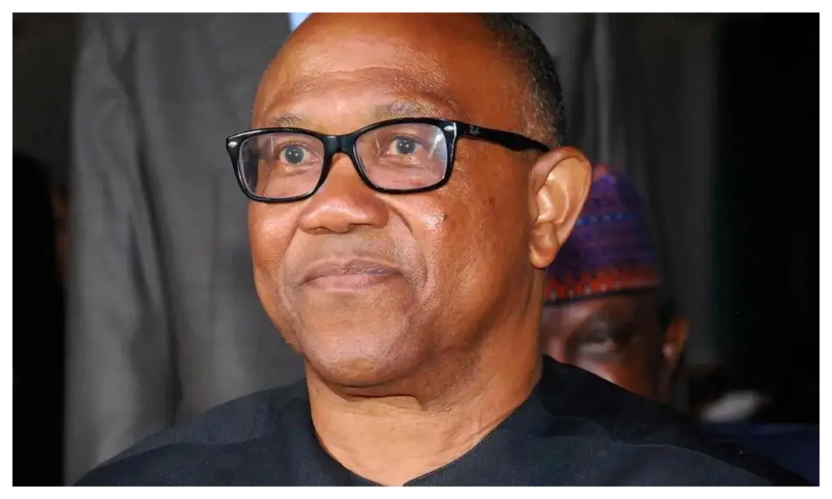 Peter Obi: Political participation must be protected, not hindered – OK Movement